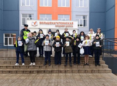 Местом проведения мероприятия были выбраны оживленные участки дорог с зонами пешеходного перехода