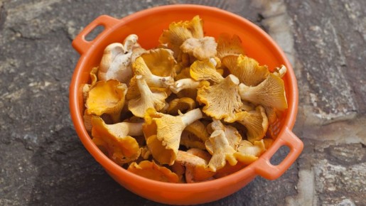 Правильно мыть лисички и грузди надо уметь: хитрость опытных кулинаров