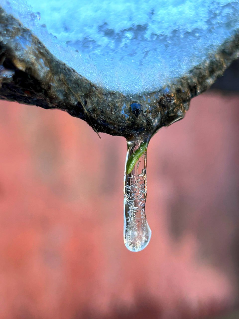 В ночь на 16 ноября в Ульяновской области выпал первый снег Делимся фотографиями из соцсетей В ночь на 16 ноября в Ульяновской области выпал первый снег Делимся фотографиями из соцсетей