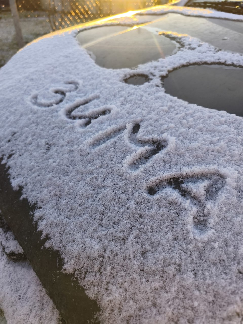 В ночь на 16 ноября в Ульяновской области выпал первый снег Делимся фотографиями из соцсетей В ночь на 16 ноября в Ульяновской области выпал первый снег Делимся фотографиями из соцсетей