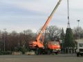 Главную ёлку Ульяновска собирают перед Домом Правительства
