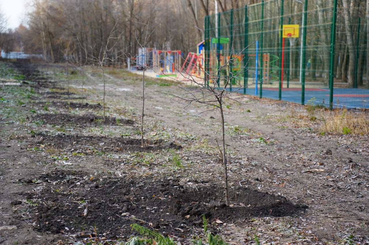 В ульяновском парке Юности завершают устройство входной группы В ульяновском парке Юности завершают устройство входной группы