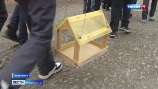 Очень давно люди заметили, что именно в середине ноября зимующие птицы прилетают в города и села