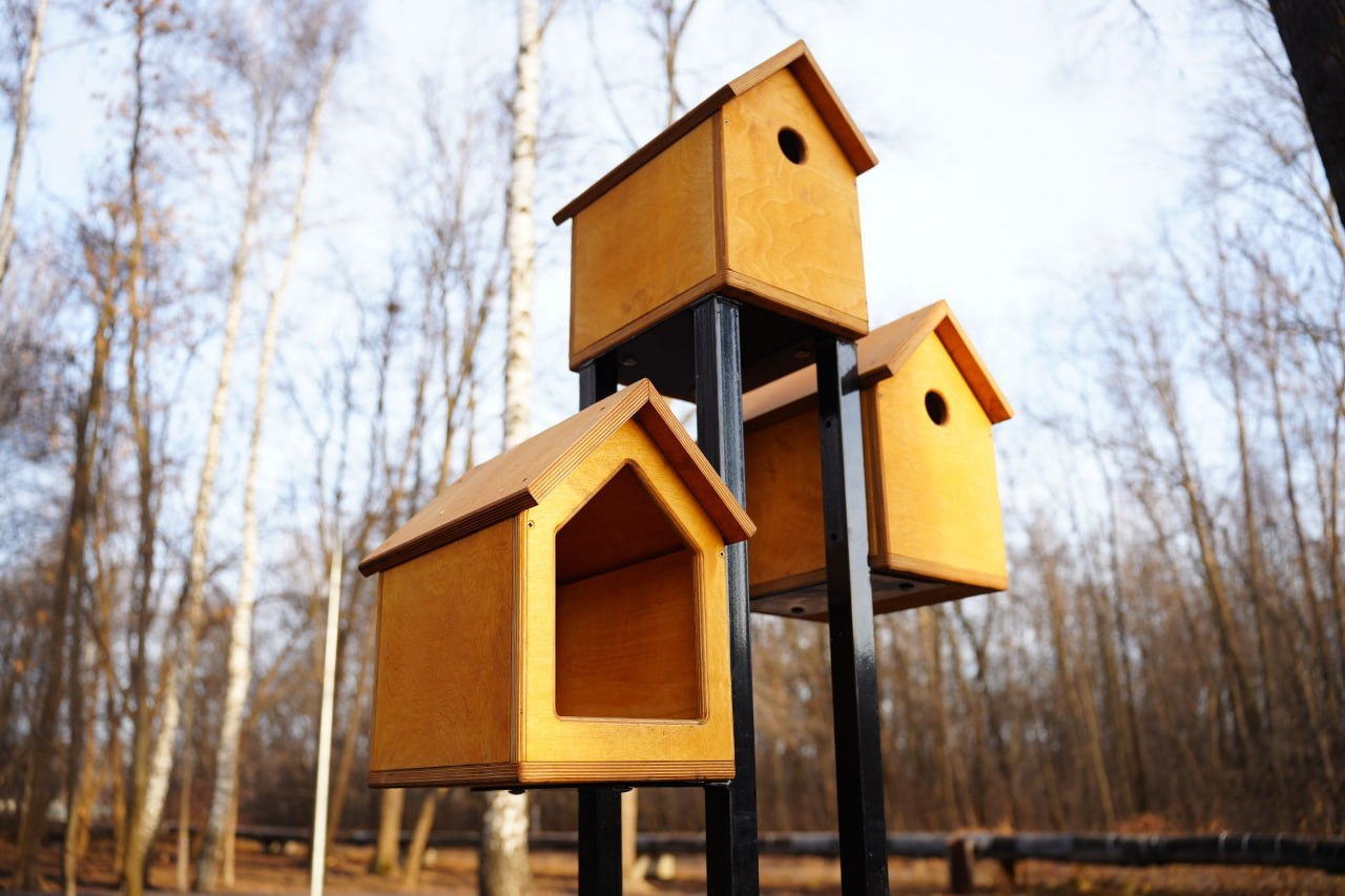 Парк Юности будет встречать ульяновцев новой входной группой Парк Юности будет встречать ульяновцев новой входной группой