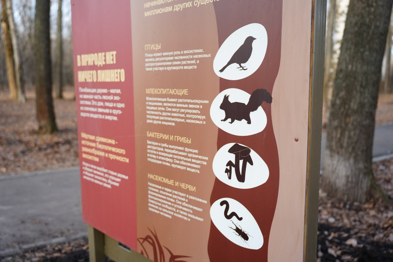 В ульяновском парке Юности завершают устройство входной группы