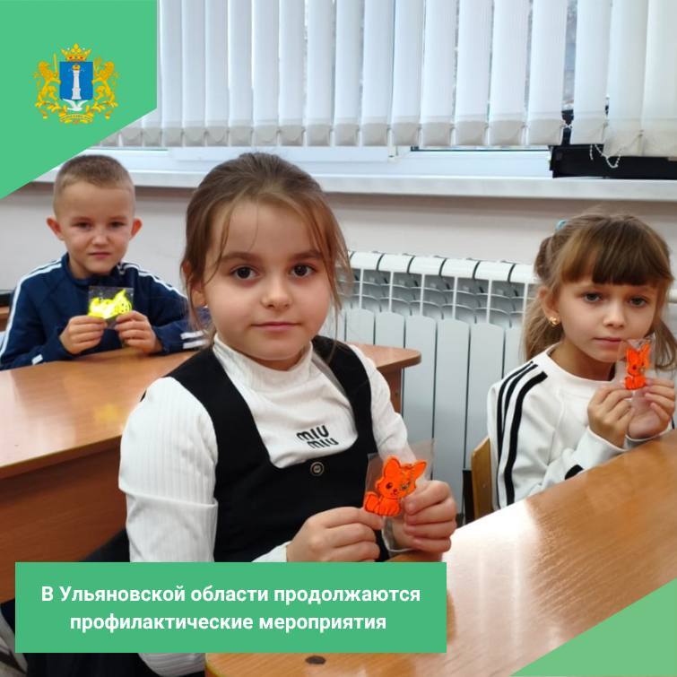 Сотрудники Дирекции безопасности дорожного движения совместно с Госавтоинспекцией провели профилактические беседы с учениками МБОУ СШ № 62 города Ульяновска