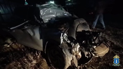 Ульяновская полиция. Ульяновская полиция в MAX