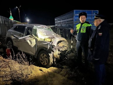 Три человека погибли в ДТП на трассе в Ульяновской области