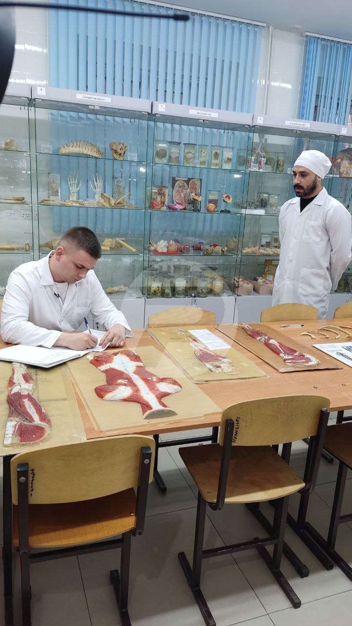 Учился бесплатно? Работай за деньги Учился бесплатно? Работай за деньги