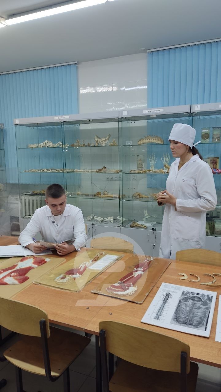 Учился бесплатно? Работай за деньги Учился бесплатно? Работай за деньги