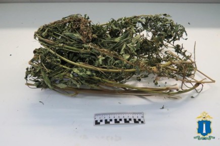 В Сурском районе полицейские задержали подозреваемого в незаконном хранении наркотических средств