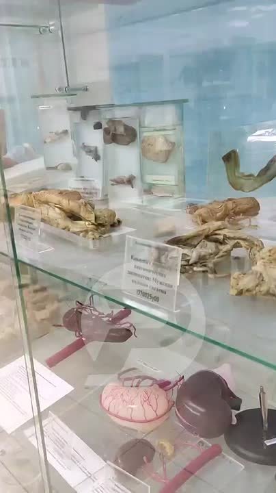 Учился бесплатно? Работай за деньги