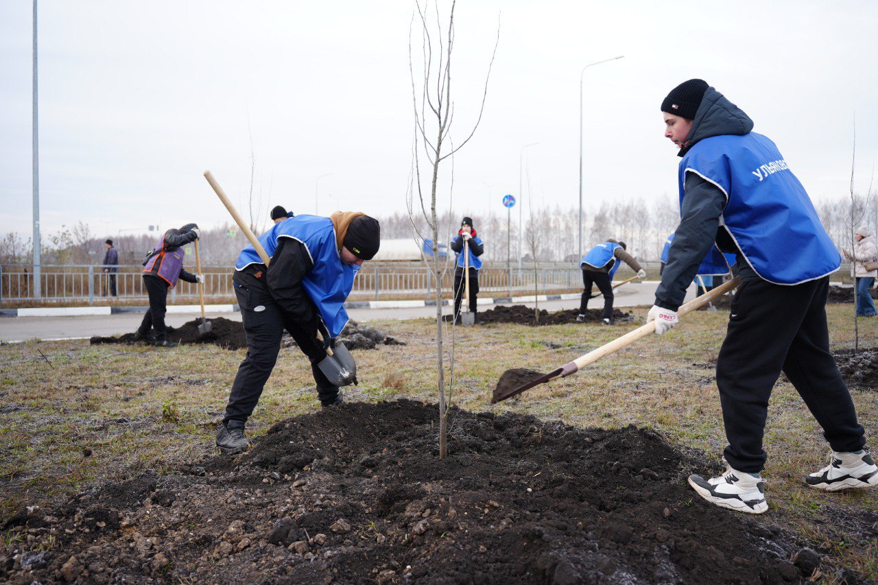 Александр Болдакин: Высадили деревья в строящемся жилом микрорайоне Засвияжского района Александр Болдакин: Высадили деревья в строящемся жилом микрорайоне Засвияжского района