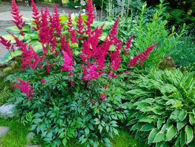 Летние кулинарные идеи: Как легко готовить в жару