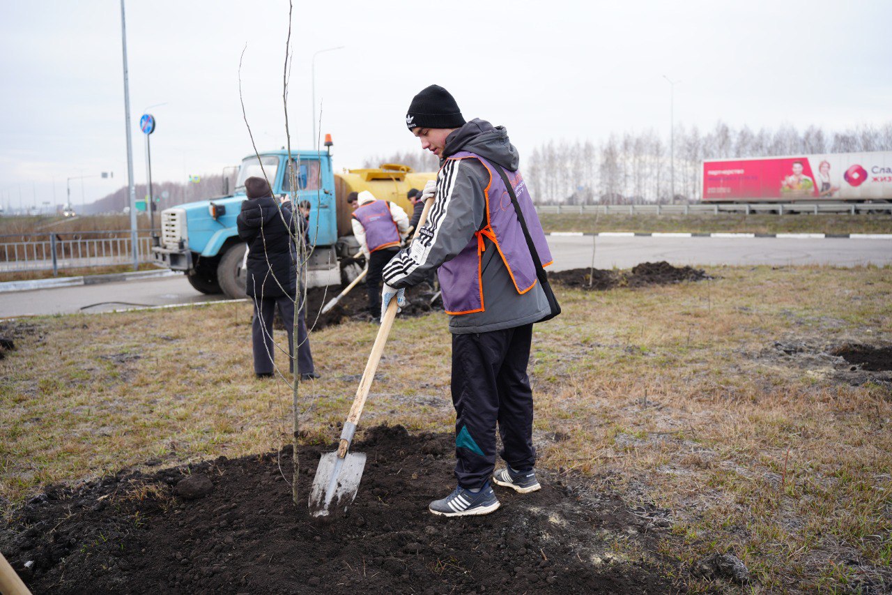 Александр Болдакин: Высадили деревья в строящемся жилом микрорайоне Засвияжского района Александр Болдакин: Высадили деревья в строящемся жилом микрорайоне Засвияжского района