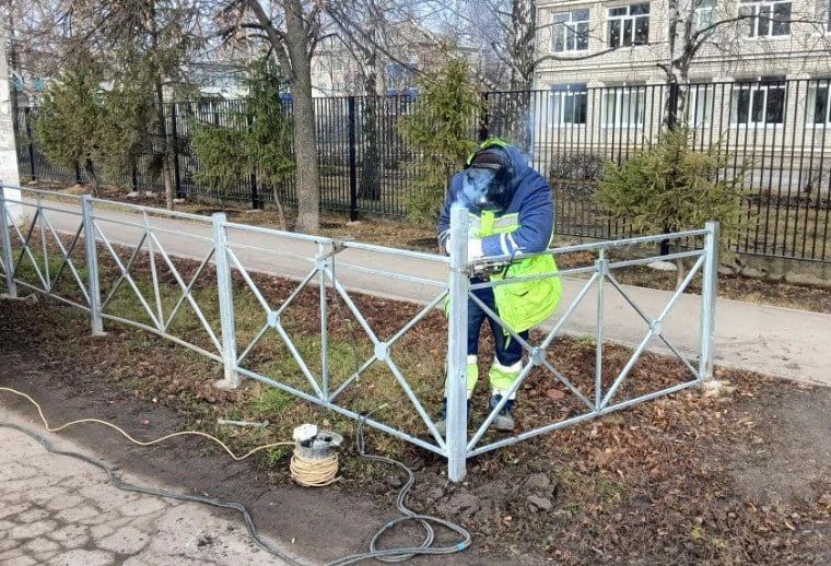 Деревья в центре Ульяновска защитят от воздействия противогололёдных реагентов