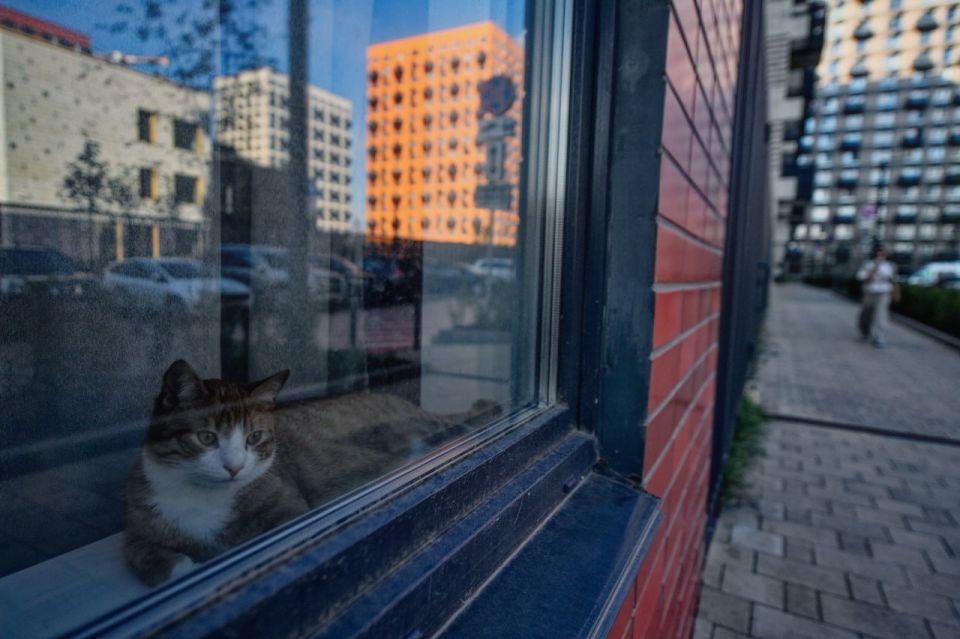 Начиная с 1991 года жители Ульяновска приватизировали 172 тысячи квартир