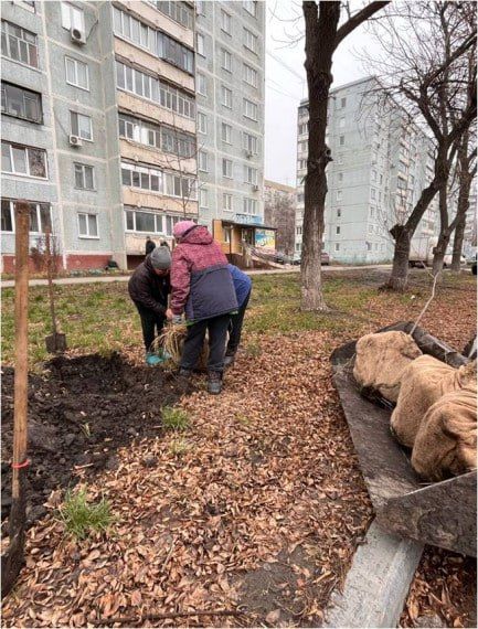 Дорожники Ульяновска ремонтируют четыре двора