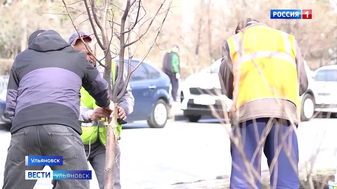 В администрации Ульяновска на заседании штаба по комплексному развитию города рассмотрели актуальные вопросы