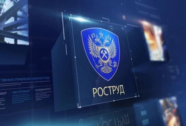 Как сказать нет наставничеству: законные права работников