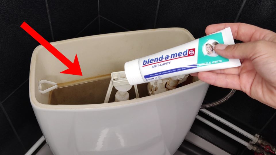 Необычный способ сохранить унитаз в чистоте: зубная паста в бачке