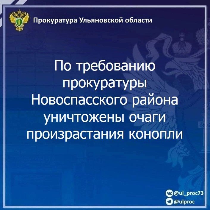 Прокуратура Новоспасского района Ульяновской области провела проверку исполнения законодательства о профилактике наркотизации населения