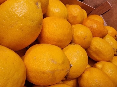 Секрет замороженного лимона: что вы теряете, не делая этого