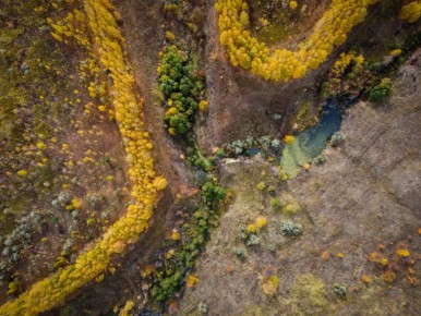 Редчайший случай: календарная осень закончилась, а климатическая — нет
