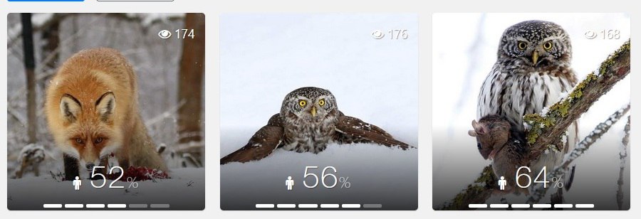 "Дикий животный мир: хищники"