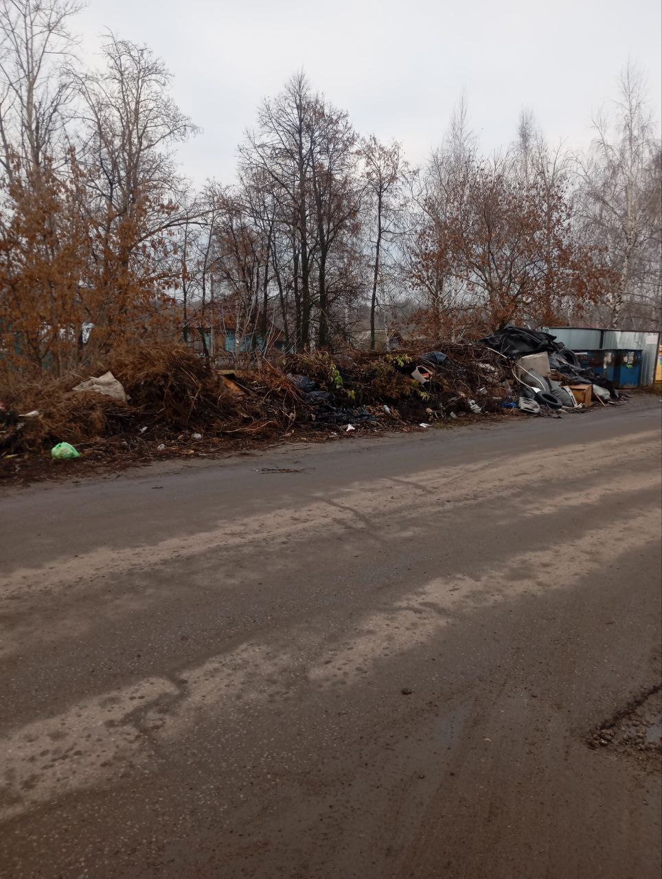 В Тереньге обнаружены мусорные завалы В Тереньге обнаружены мусорные завалы