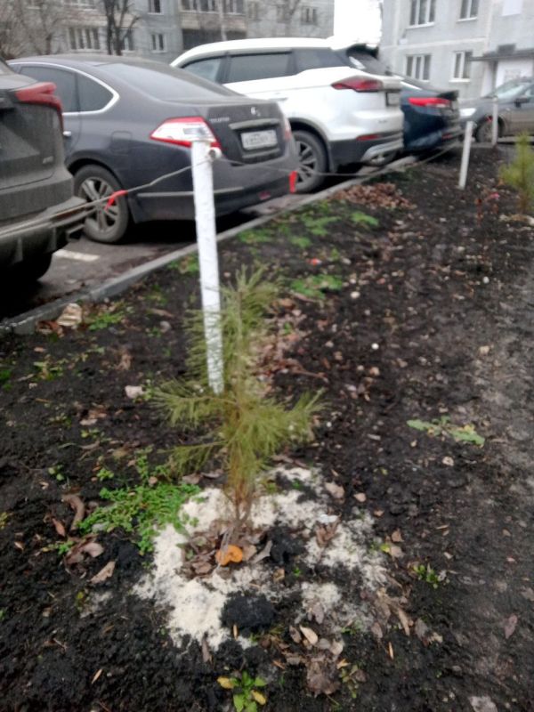 ظ� �������... ������ �� �������?