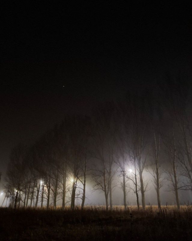 Доброе утро, друзья!. Наступила очередная зимняя, но бесснежная рабочая неделя