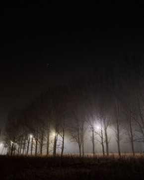 Доброе утро, друзья!. Наступила очередная зимняя, но бесснежная рабочая неделя