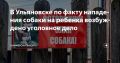 В Ульяновске по факту нападения собаки на ребенка возбуждено уголовное дело