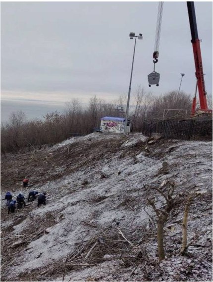 В Ульяновске нарастят усилия по расчистке парка «Дружбы народов»