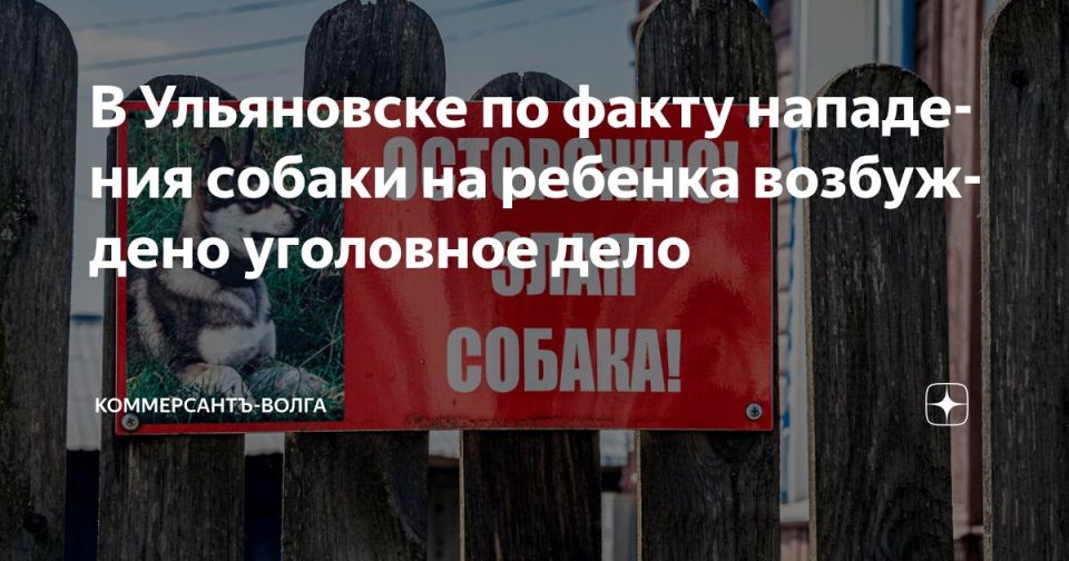 В Ульяновске по факту нападения собаки на ребенка возбуждено уголовное дело