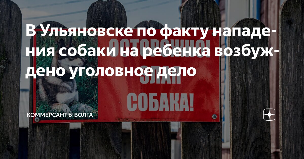 В Ульяновске по факту нападения собаки на ребенка возбуждено уголовное дело