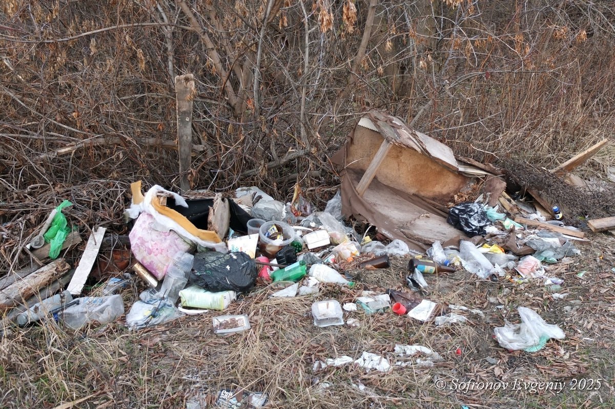 Огромная куча мусора образовалась возле озера Осиновое Огромная куча мусора образовалась возле озера Осиновое