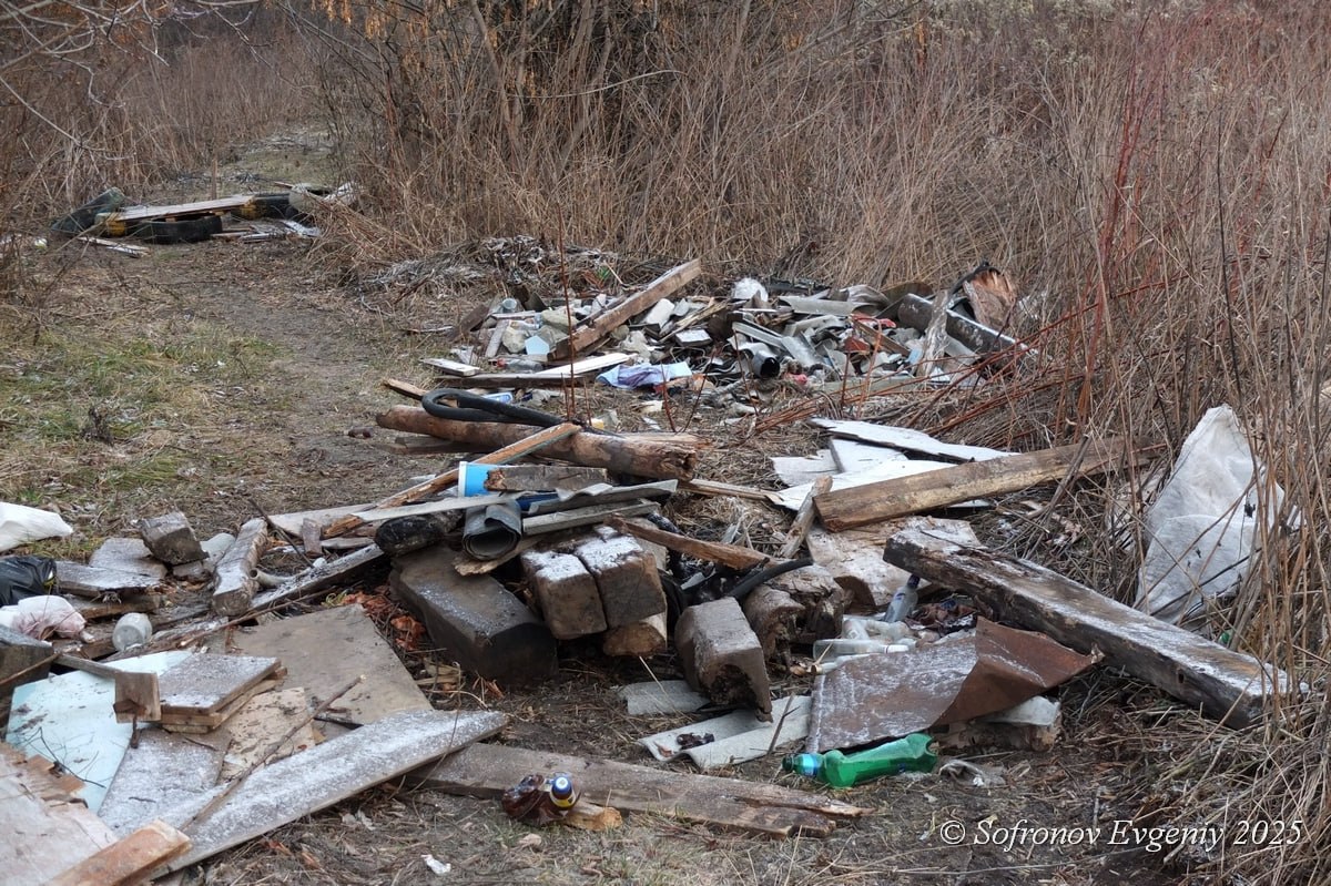 Огромная куча мусора образовалась возле озера Осиновое Огромная куча мусора образовалась возле озера Осиновое