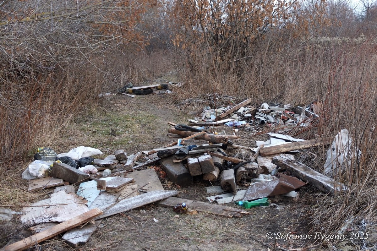 Огромная куча мусора образовалась возле озера Осиновое Огромная куча мусора образовалась возле озера Осиновое