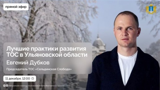 Какие проекты реализуют ТОС Ульяновской области?