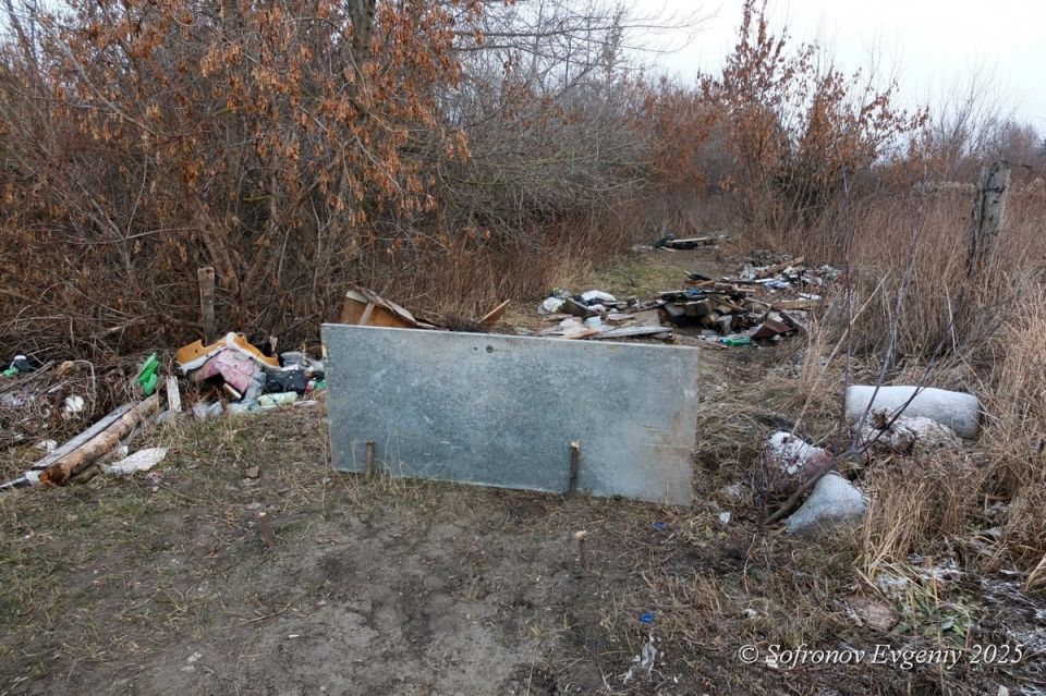 �������� ���� ������ ������������ ����� ����� ��������