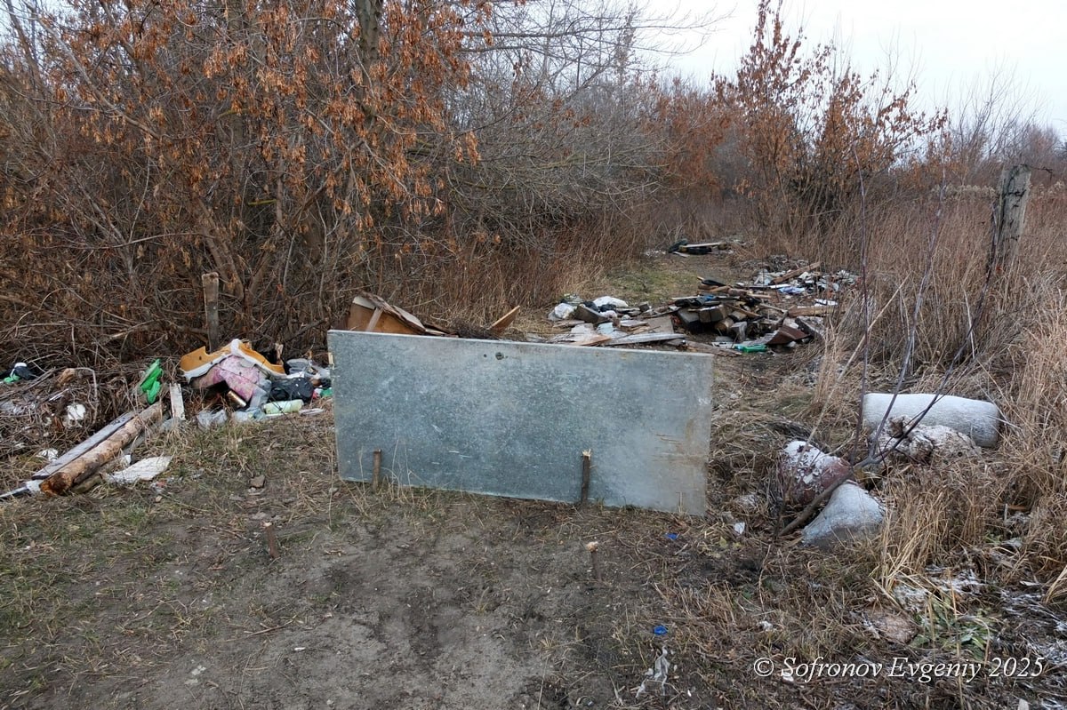Огромная куча мусора образовалась возле озера Осиновое
