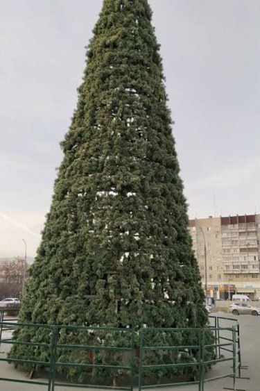 Праздник к нам приходит. В Заволжском районе на площади 50-летия Победы установили новогоднюю ёлку