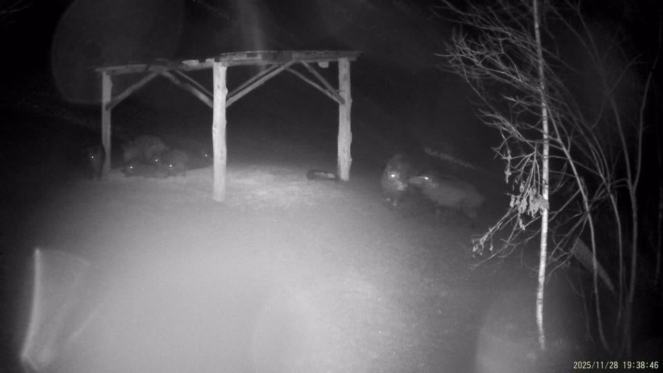 ������ ����������� ������� � ������������ �������� ������ �� ������