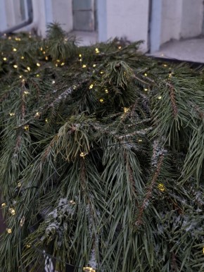 Доброе утро, друзья!. Сегодня, 11 декабря, отмечаем Международный день гор, Международный день танго и Всемирный день борьбы с бронхиальной астмой