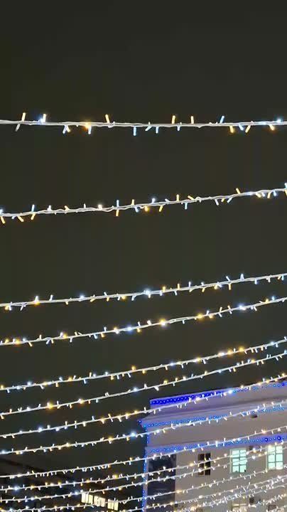 Торжественное открытие главной городской ёлки на площади перед Домом Правительства состоится 27 декабря