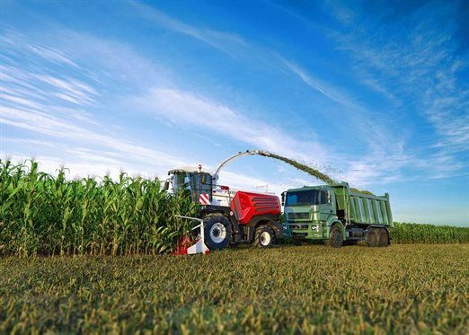 ������ � ������� ��������� ���, � ������, ���� ��������� ��� �����