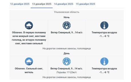 Сильный ветер, метель, снежные заносы и гололедица