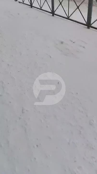 ����� ������ �������� ���������